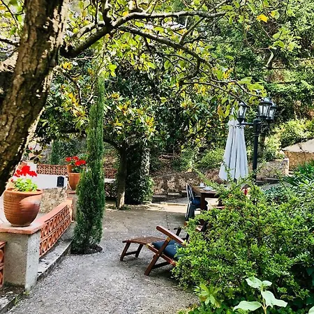 Apartment Guest In Collserola Natural Park Close To Barcelona Sant Cugat del Valles