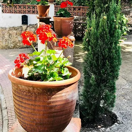 Guest In Collserola Natural Park Close To Barcelona Apartment Sant Cugat del Valles